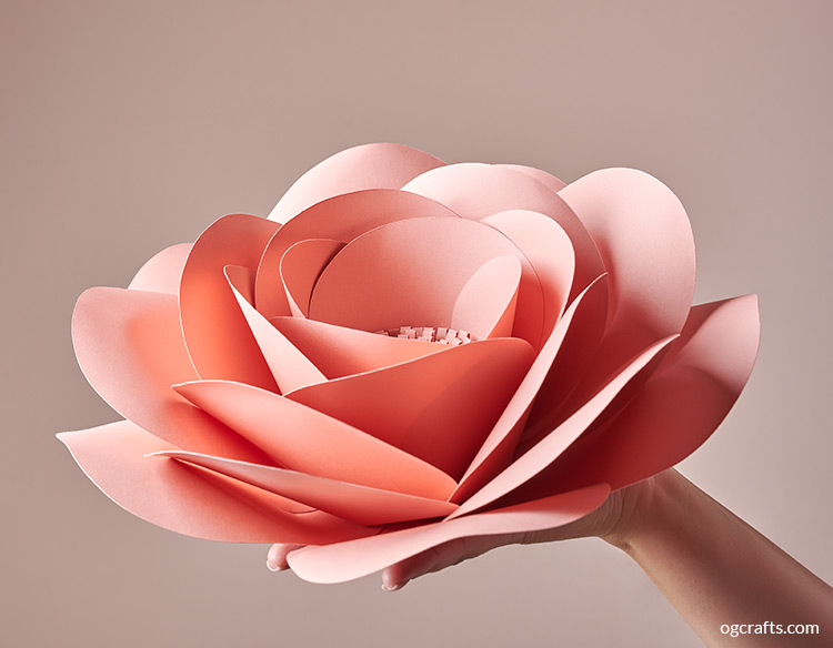 Handmade giant paper flowers rose