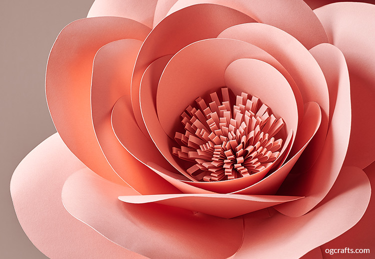 giant paper rose