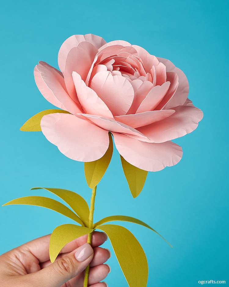 Peony Paper Flower Tutorial